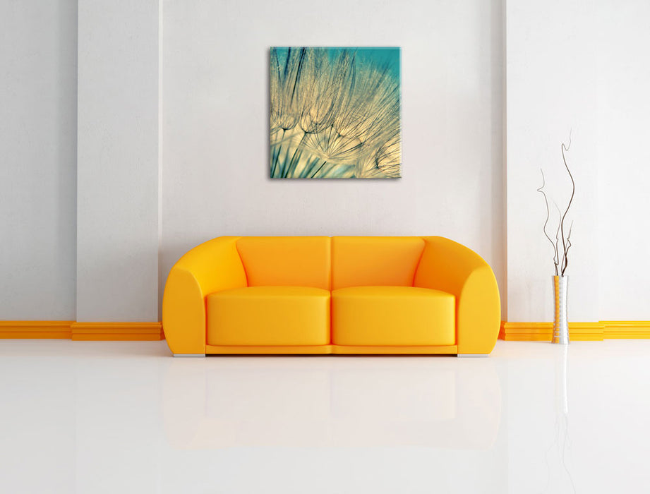 Pusteblumen Leinwandbild Quadratisch über Sofa