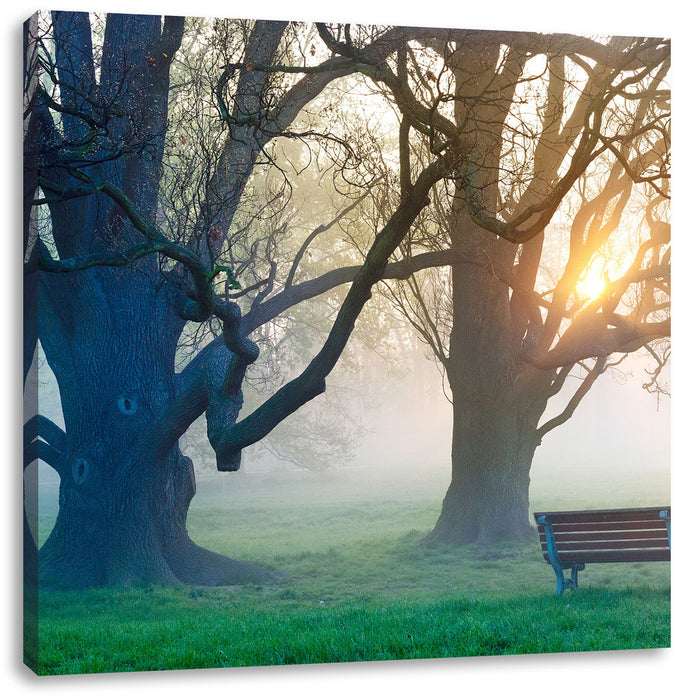 Baum und Bank im Nebel Leinwandbild Quadratisch