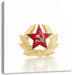 Wappen der UdSSR Leinwandbild Quadratisch