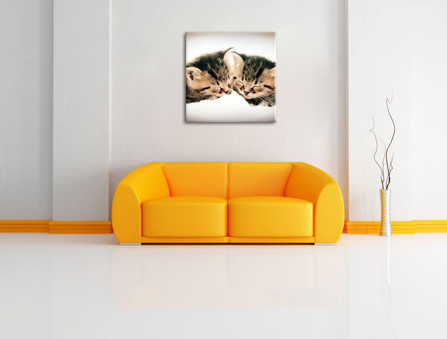 Katzen Herzform Leinwandbild Quadratisch über Sofa