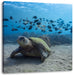 Schildkröte am Meeresboden Leinwandbild Quadratisch