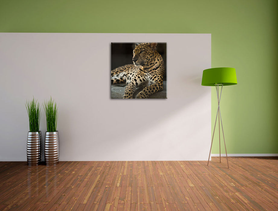 Majestäischer Leopard Leinwand Quadratisch im Flur