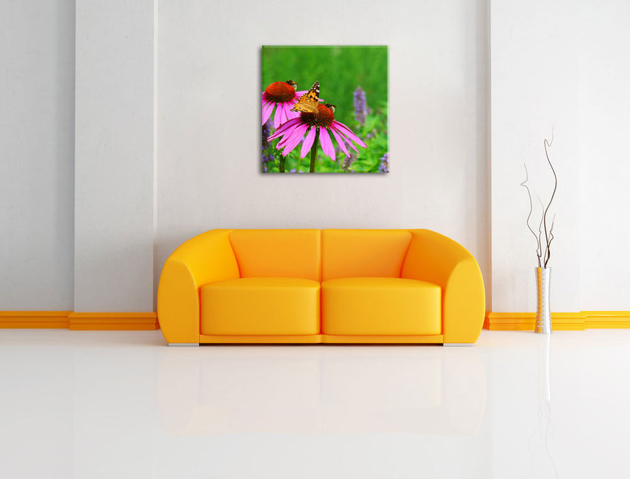 Schmetterling auf Blüte Leinwandbild Quadratisch über Sofa