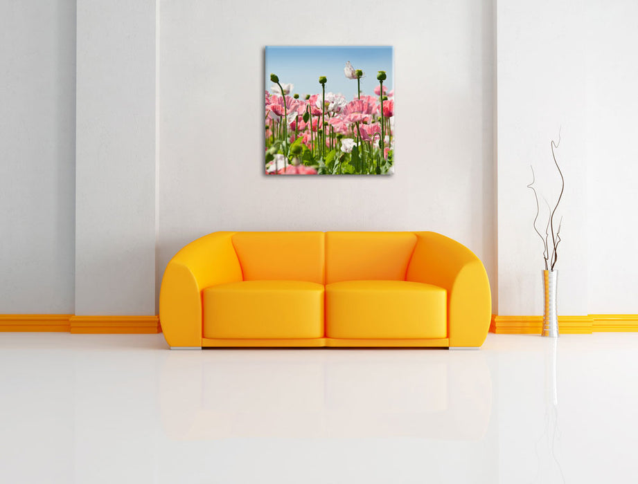 Blumenwiese Mohnblumen Leinwandbild Quadratisch über Sofa