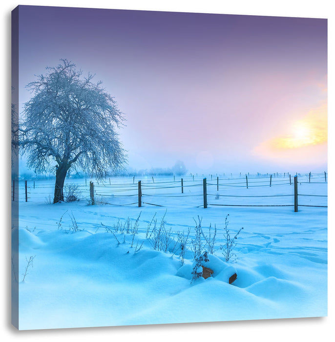 Baum in Winterlandschaft Leinwandbild Quadratisch