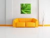 Aloe Vera Leinwandbild Quadratisch über Sofa
