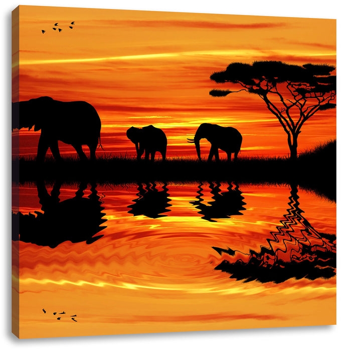 Afrika Elefant in Sonnenschein Leinwandbild Quadratisch