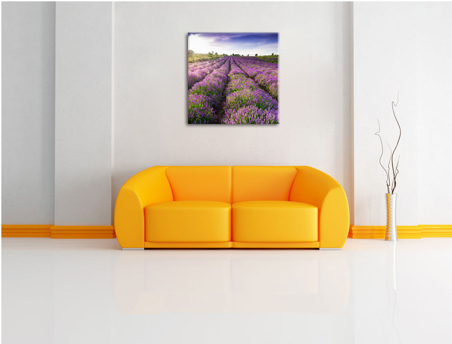 Lavendelfeld Provence Leinwandbild Quadratisch über Sofa