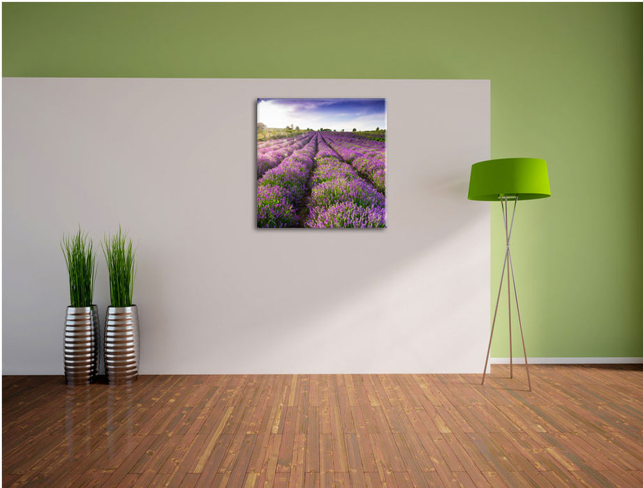 Lavendelfeld Provence Leinwand Quadratisch im Flur