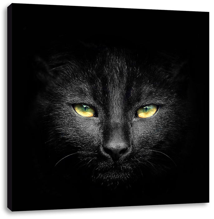 Dark schwarzes Katzengesicht Leinwandbild Quadratisch