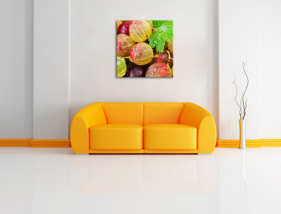 Leckere Stachelbeeren Leinwandbild Quadratisch über Sofa