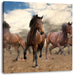 Western Pferde Cowboy Leinwandbild Quadratisch