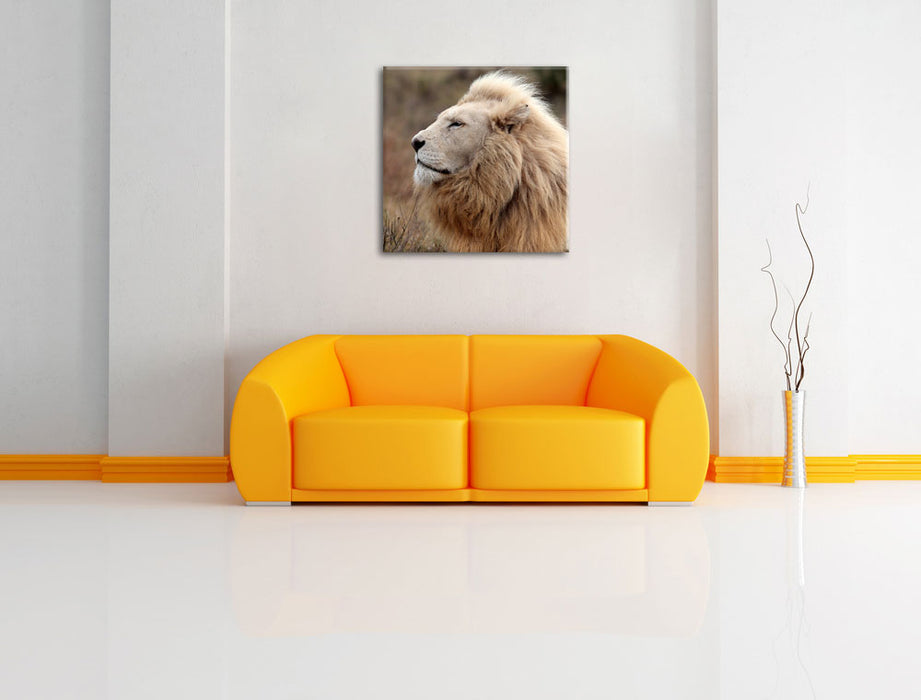 Weißer Löwe im Gebirge Leinwandbild Quadratisch über Sofa