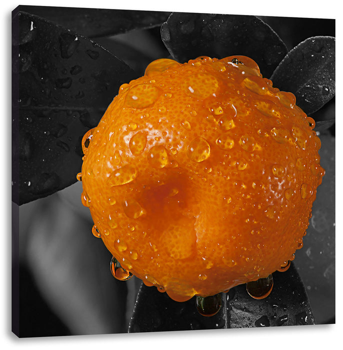Orange mit Wassertropfen Leinwandbild Quadratisch
