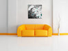 Wassertropfen auf Pusteblume Leinwandbild Quadratisch über Sofa