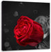 rote Rosen zum Valentinstag Leinwandbild Quadratisch
