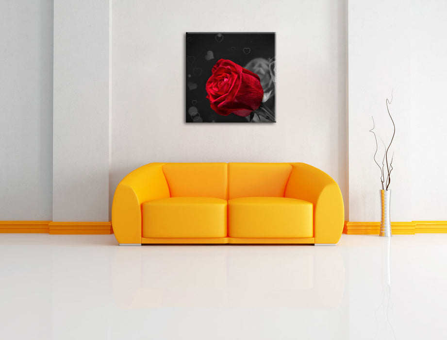 rote Rosen zum Valentinstag Leinwandbild Quadratisch über Sofa
