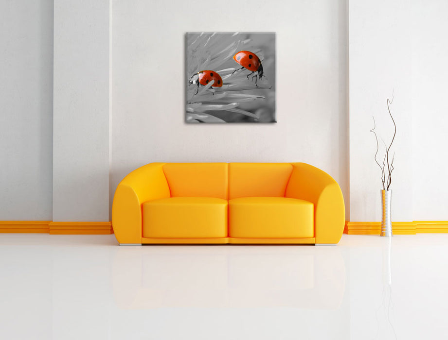 Marienkäfer krabbeln auf Blüte Leinwandbild Quadratisch über Sofa