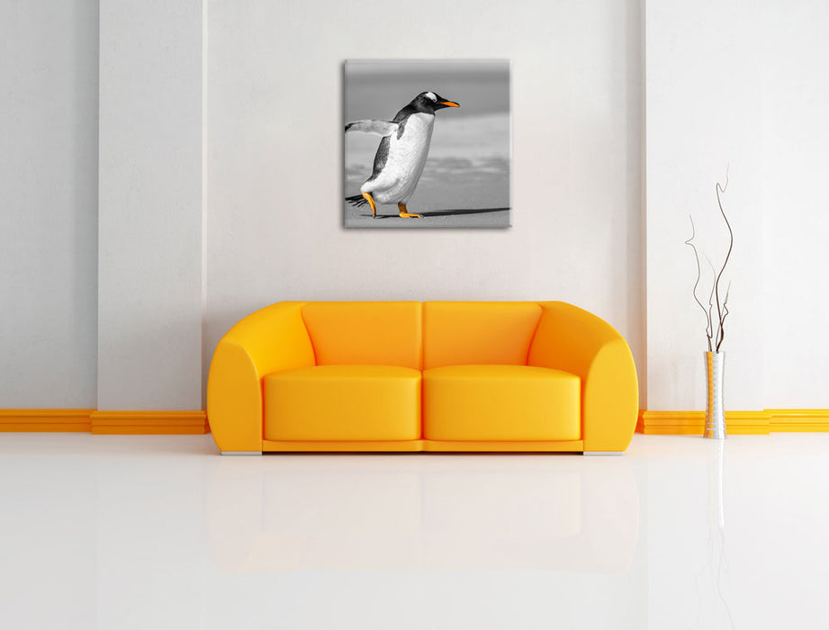 watschelnder Pinguin am Strand Leinwandbild Quadratisch über Sofa