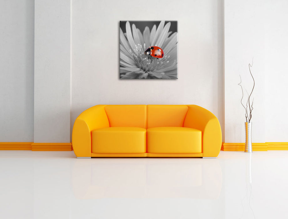 leuchtender Marienkäfer auf Blüte Leinwandbild Quadratisch über Sofa