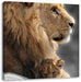 Löwe mit Löwenbaby Leinwandbild Quadratisch