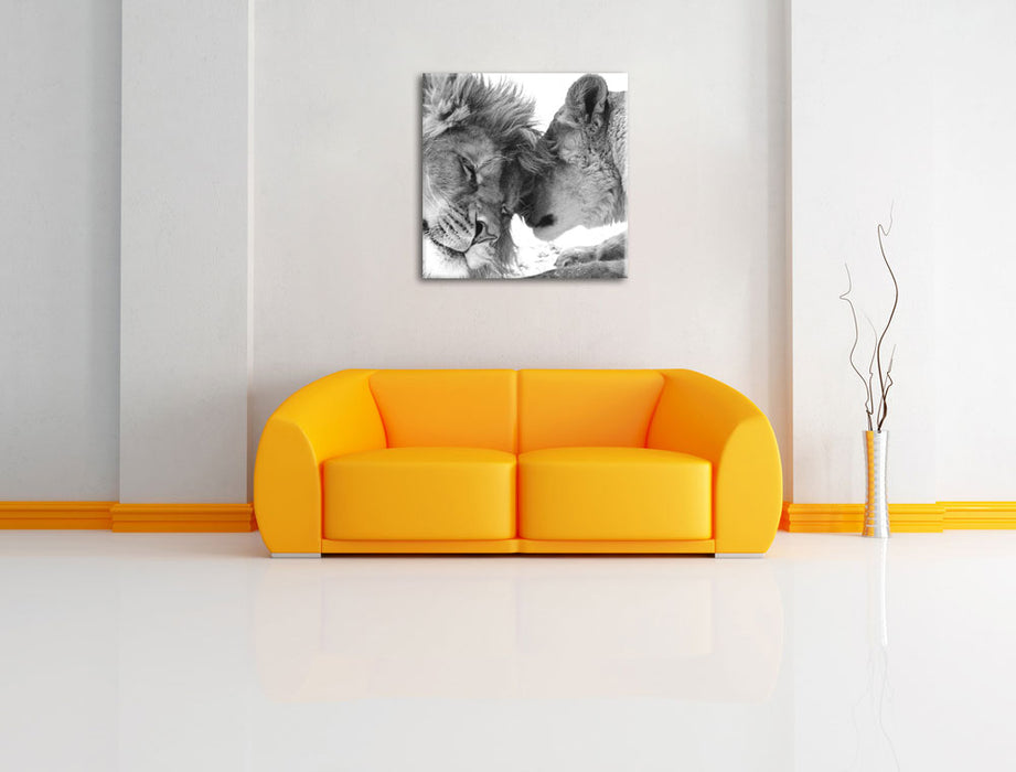Bezauberndes kuschelndes Löwenpaar Leinwandbild Quadratisch über Sofa