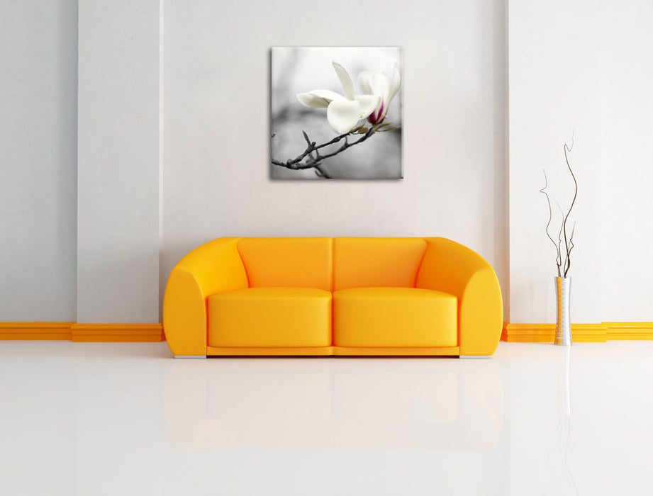 Magnolienblüten Leinwandbild Quadratisch über Sofa