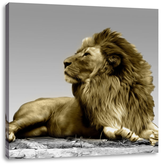 majestäischer Löwe auf Fels Leinwandbild Quadratisch