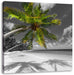riesige Palme über Strand Leinwandbild Quadratisch