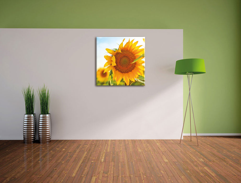 Sonnenblumenfeld SonnenblumeSonne Leinwand Quadratisch im Flur
