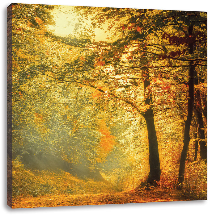 Wald im Herbst Leinwandbild Quadratisch