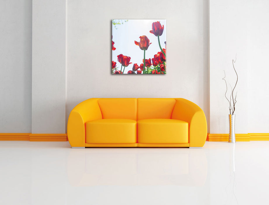 Tulpenfeld Leinwandbild Quadratisch über Sofa