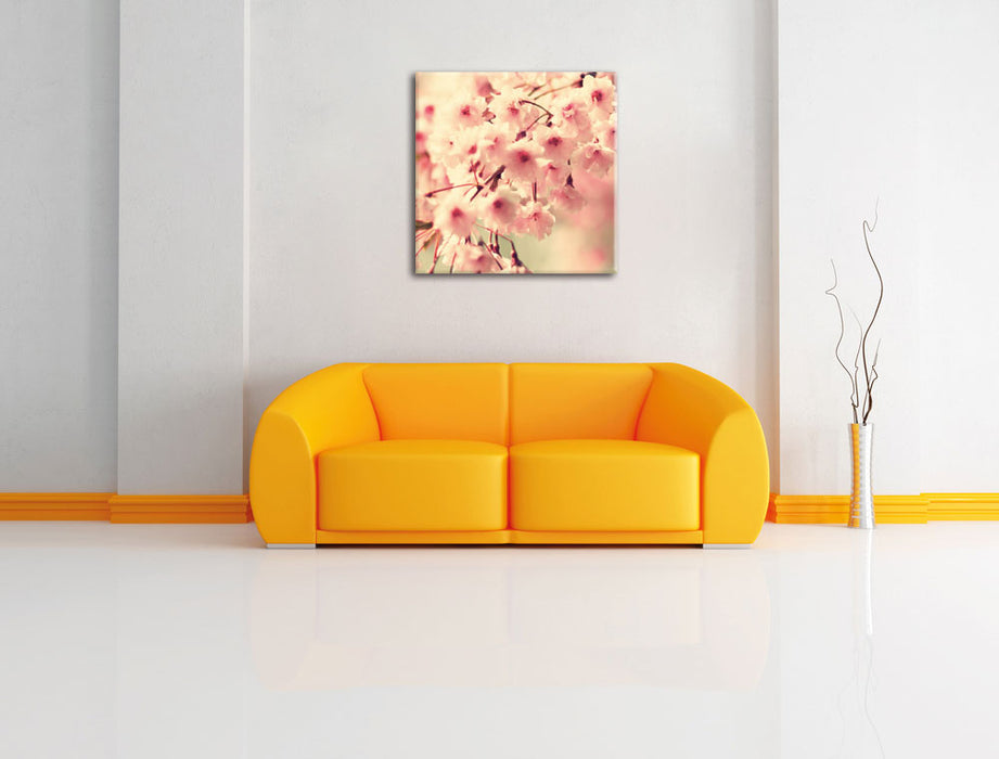 Kirschblüten Leinwandbild Quadratisch über Sofa