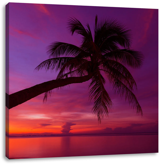 Palme am Meer mit Sonnenuntergang Leinwandbild Quadratisch