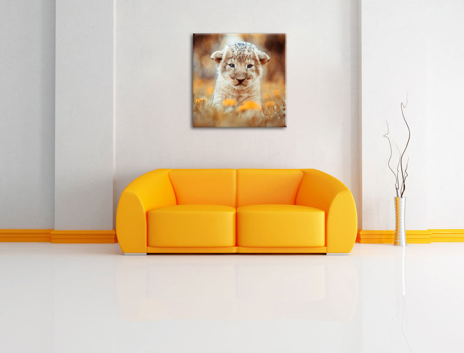 Niedliches Löwenbaby Leinwandbild Quadratisch über Sofa