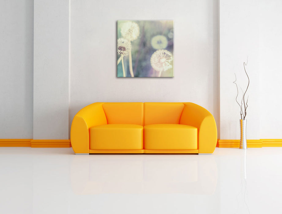 Romantische Pusteblumen Leinwandbild Quadratisch über Sofa