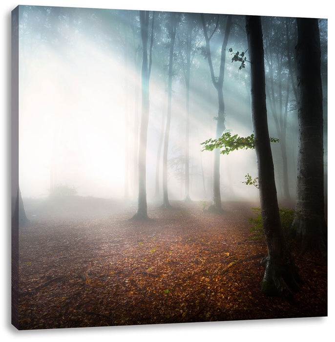 Düsterer Wald im Nebel Leinwandbild Quadratisch