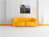 Lustige Pinguine Leinwandbild Quadratisch über Sofa