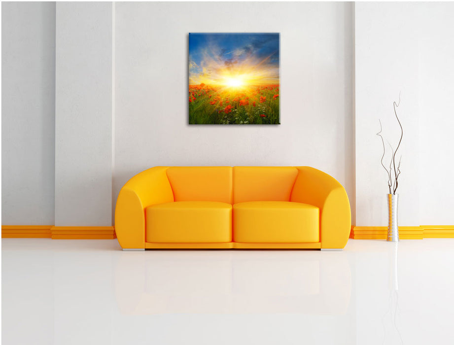 Mohnwiese in der Sonne Leinwandbild Quadratisch über Sofa
