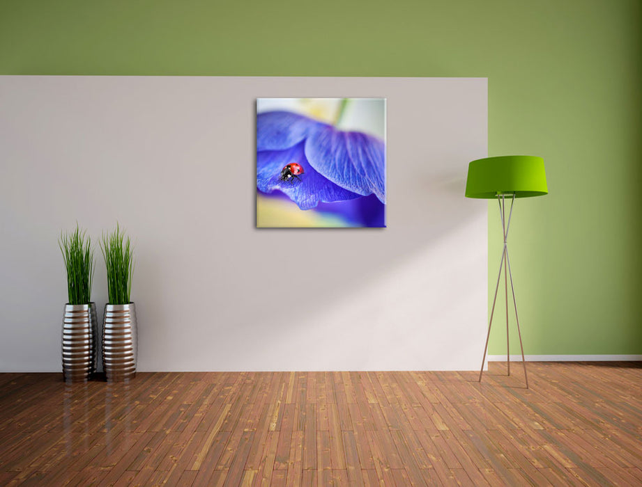 Marienkäfer auf lila Blüte Leinwand Quadratisch im Flur