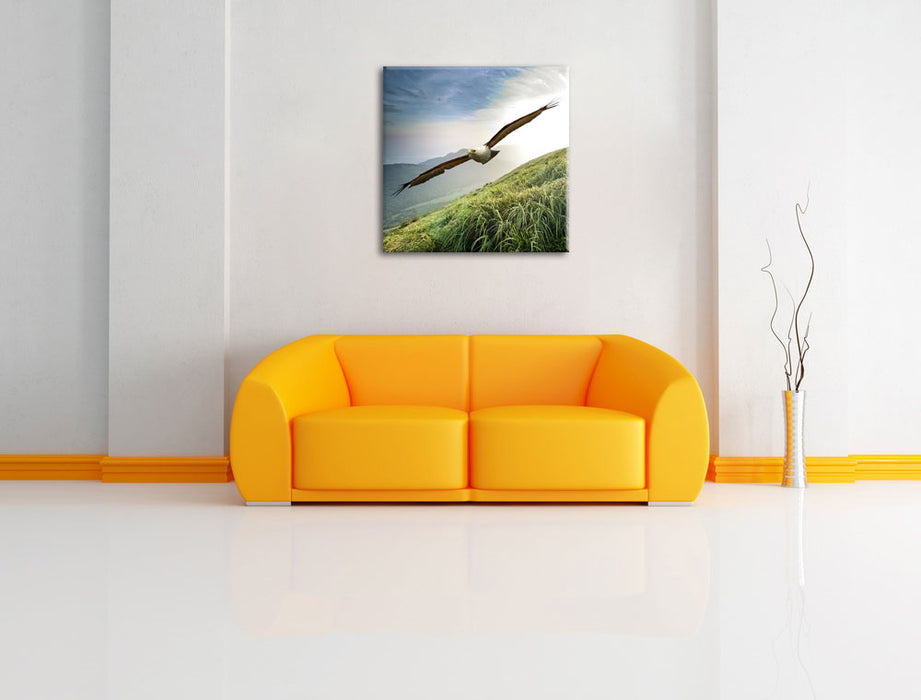 Majestäischer Weißkopfseeadler Leinwandbild Quadratisch über Sofa
