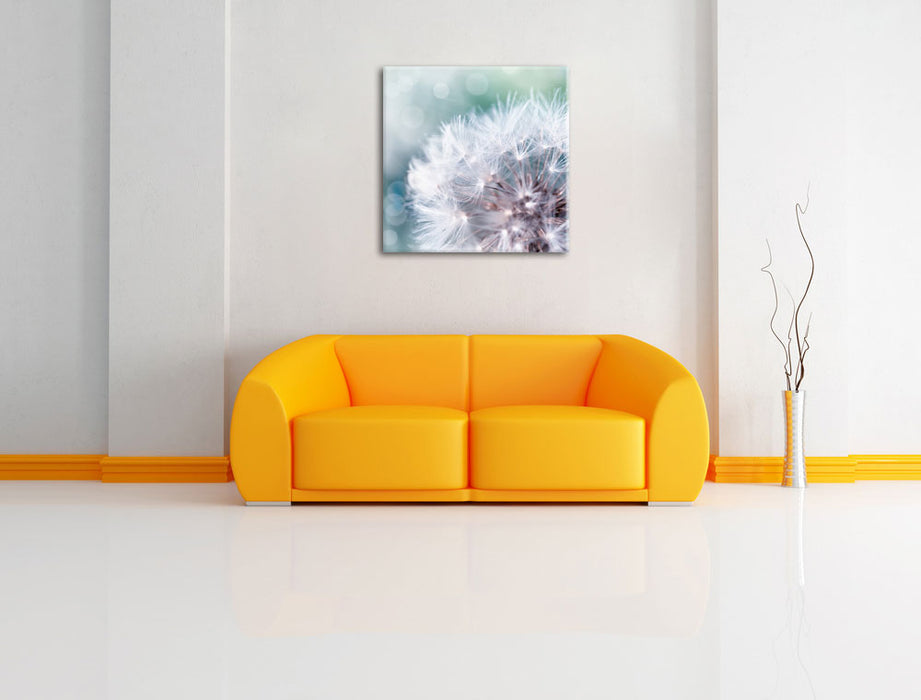 Kleine Pusteblume Leinwandbild Quadratisch über Sofa