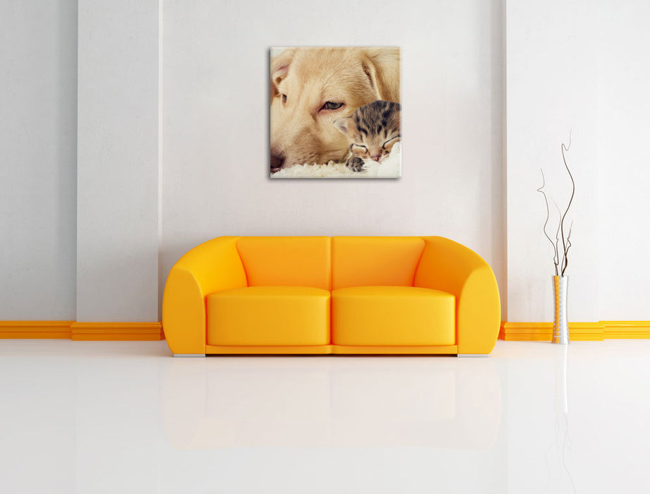Träumendes Käzchen neben Hund Leinwandbild Quadratisch über Sofa
