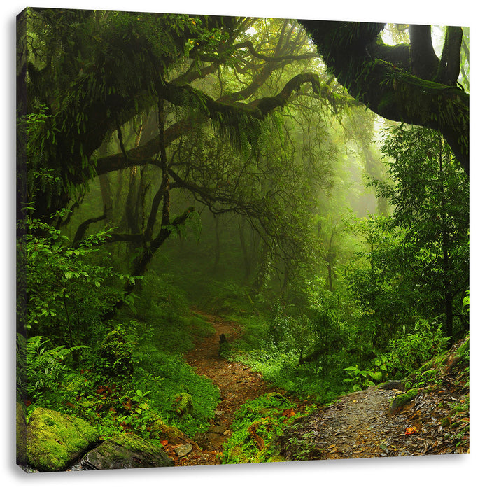 Mystischer Regenwald Leinwandbild Quadratisch