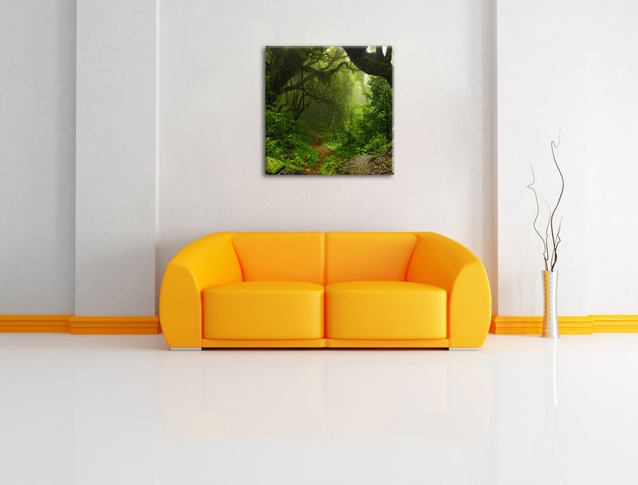 Mystischer Regenwald Leinwandbild Quadratisch über Sofa