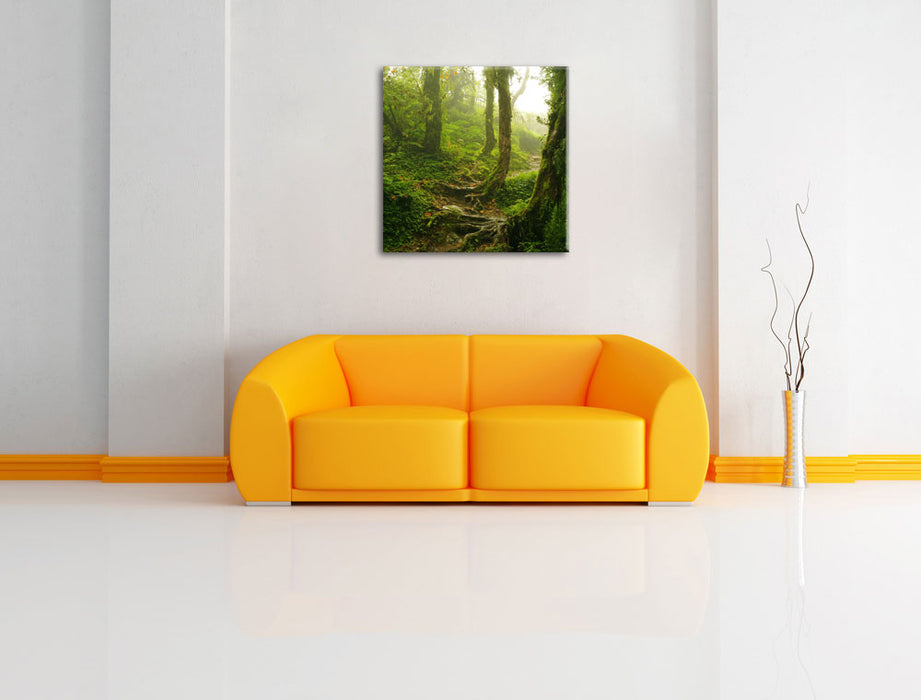 Unberührter Regenwald Leinwandbild Quadratisch über Sofa