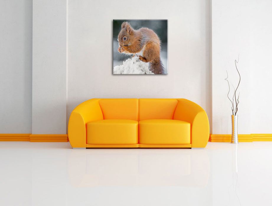 Kleines Eichhörnchen im Winter Leinwandbild Quadratisch über Sofa