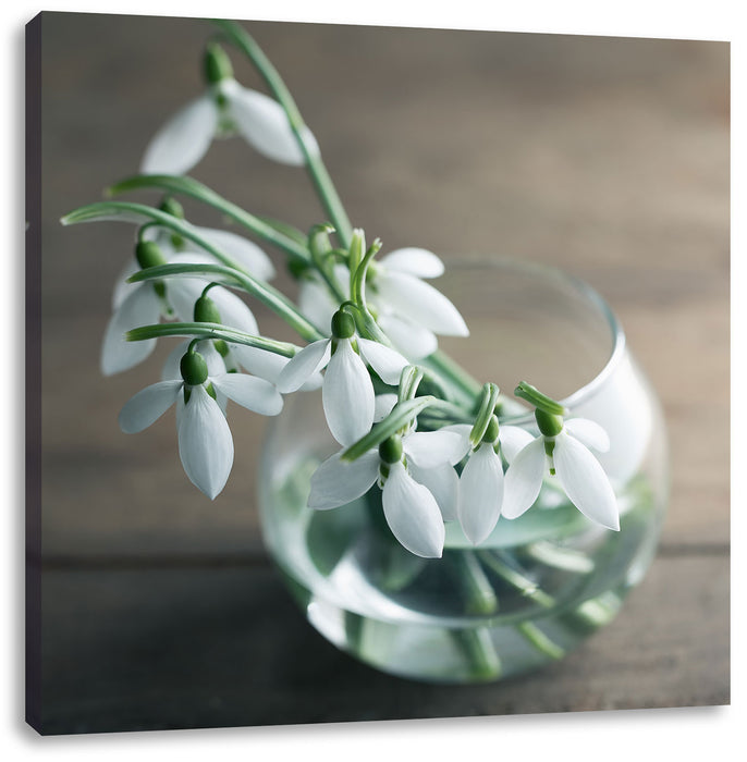 Schneeglöckchen in der Vase Leinwandbild Quadratisch