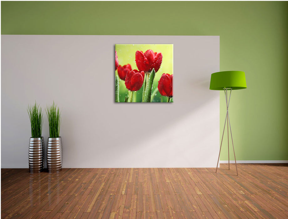 Rote Tulpen mit Tropfen bedeckt Leinwand Quadratisch im Flur