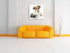 Niedlicher Hundewelpe mit Kamera Leinwandbild Quadratisch über Sofa